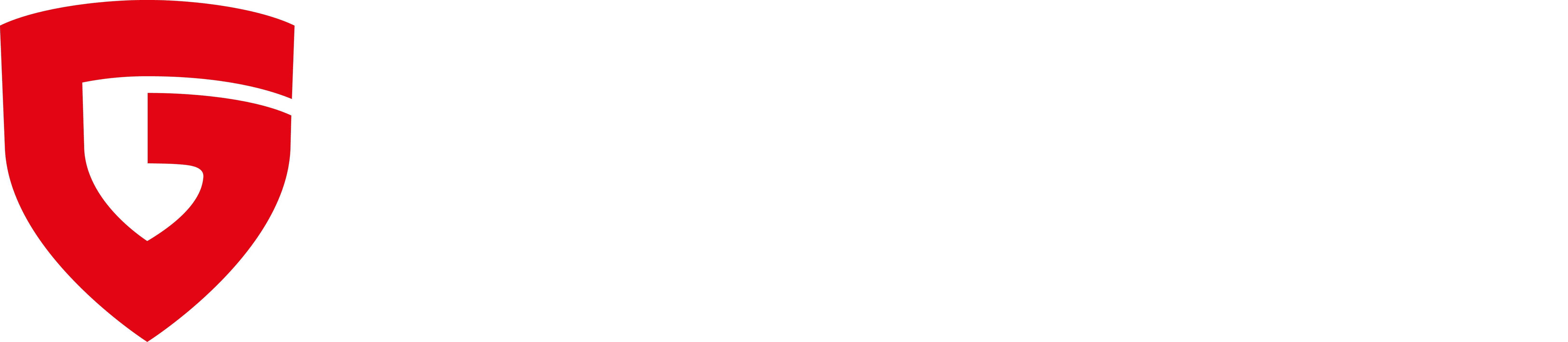 G DATA Authorized Partner